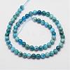 Natural Apatite Beads Strands G-D856-01-6.5mm-2