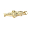 Brass Micro Pave Cubic Zirconia Pendants KK-K368-02B-G-2