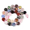 Natural Mixed Gemstone Beads Strands G-C116-A20-01-4