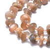 Natural Multi-Moonstone Beads Strands G-F715-068-3