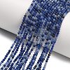 Natural Blue Aventurine Beads Strands G-Z116-A25-2mm-1