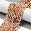 Natural Multi-Moonstone Beads Strands G-G189-D15-02-2