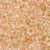 Baking Paint Transparent Glass Beads DGLA-T004-06I-2