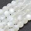 Natural White Moonstone Beads Strands G-J373-13-10mm-1