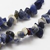 Natural Sodalite Beads Strands G-F328-25-3