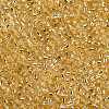 8/0 Glass Seed Beads X2-SEED-A005-3mm-22-2