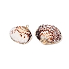 Natural Sea Shell Pendants SSHEL-N038-19-1