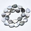 Natural Black Lip Shell Beads SSHEL-N036-036-2