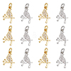 DICOSMETIC 12Pcs 2 Colors Brass Micro Pave Clear Cubic Zirconia Charms FIND-DC0003-27-1