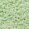 Macaron Color Opaque Frosted Glass Seed Beads X1-SEED-K009-12B-06-3