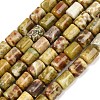 Natural Dragon Blood Jasper Beads Strands G-S396-03C-3