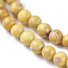 Natural Imperial Jasper Beads Strands G-I248-03-4