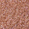 MIYUKI Delica Beads X-SEED-J020-DB0054-2