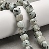 Natural Sesame Jasper Beads Strands G-H078-C24-01-2