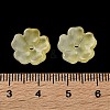 Dyed & Heated Gradient Color Glass Bead Cap GLAA-D307-01J-3