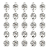 Tibetan Style Alloy Pendants FIND-DC0006-12B-1