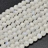 Natural Rainbow Moonstone Beads Strands G-P335-12-6mm-1