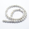 Natural Magnesite Beads Strands X-G-I199-27-4mm-2
