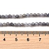 Natural Tanzanite Beads Strands LS-G-S387-A01-3mm-5