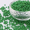 Glass Seed Beads SEED-A010-3mm-47-1