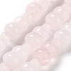 Natural Rose Quartz Beads Strands G-P528-G02-01-1