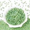 FGB Transparent Colours Glass Seed Beads SEED-Q040-07A-B06-2