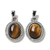 Natural Tiger Eye Pendants KK-R210-24P-1