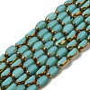 Electroplate Glass Beads Strands X-EGLA-P061-02A-04-1