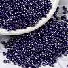 MIYUKI Round Rocailles Beads X-SEED-G008-RR0434-1