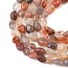 Natural Agate Beads Strands G-P623-A02-02-4