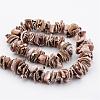 Natural Shell Bead Strands BSHE-P010-07-2