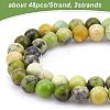 2 Strands Natural Serpentine Beads Strands G-OC0003-11-3