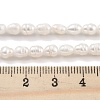 Natural Cultured Freshwater Pearl Beads Strands PEAR-P062-03A-5