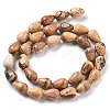 Natural Picture Jasper Beads Strands G-B106-A18-02-3