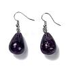 Natural Amethyst Dangle Earrings EJEW-P143-C19-2