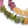 Natural Tourmaline Beads Strands G-P332-73C-3