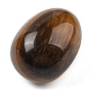 Natural Tiger Eye Palm Stones G-I367-04F-2