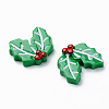 Resin Cabochons LS-RESI-R429-33-3