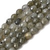 Natural Labradorite Beads Strands G-K376-F07-01-2
