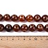 Tibetan Style dZi Agate Beads Strands G-N357-04A-02-5