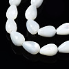 Natural Trochid Shell/Trochus Shell Beads Strands SSHEL-S266-022-3