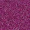 TOHO Round Seed Beads SEED-JPTR15-2107-2