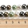 Polished Shell Pearl Bead Strands BSHE-F013-07D-4