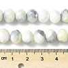 Electroplate Glass Beads Strands LAMP-S068-11F-4