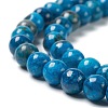 Natural Gemstone Beads Strands G-H269-01C-4