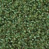 MIYUKI Round Rocailles Beads SEED-X0054-RR0375-3