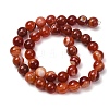 Natural Striped Agate/Banded Agate Bead Strands G-K166-13-10mm-08-8