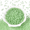 FGB Frosted Transparent Glass Seed Beads SEED-N013-02A-08-2