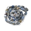 Natural Kyanite Beads Strands G-P497-01C-60-3