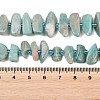 Natural Amazonite Beads Strands X-G-P619-A04-01-5